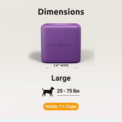 Freezbox - Super Tough Treat Toy