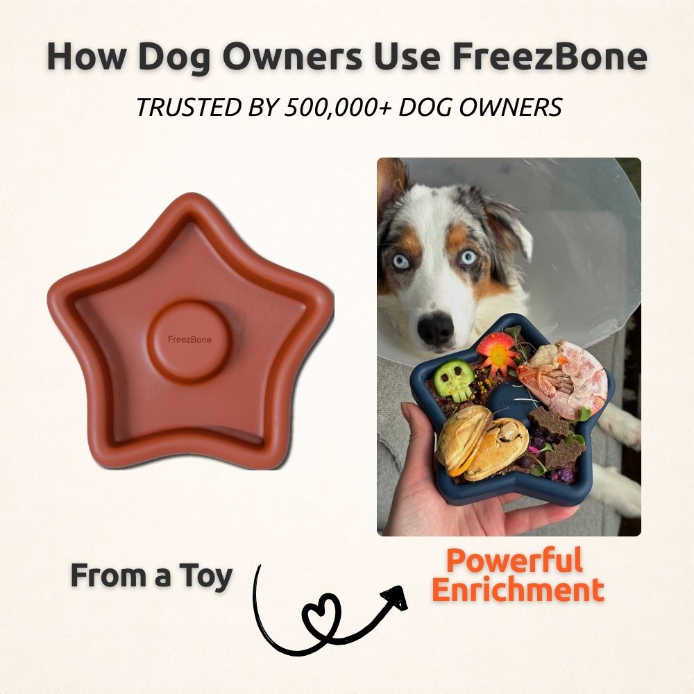 Freezbone Complete Dog Enrichment Bundle – 8 Slow Feeder & Frozen Treat Toys for Dogs 25–75 lbs