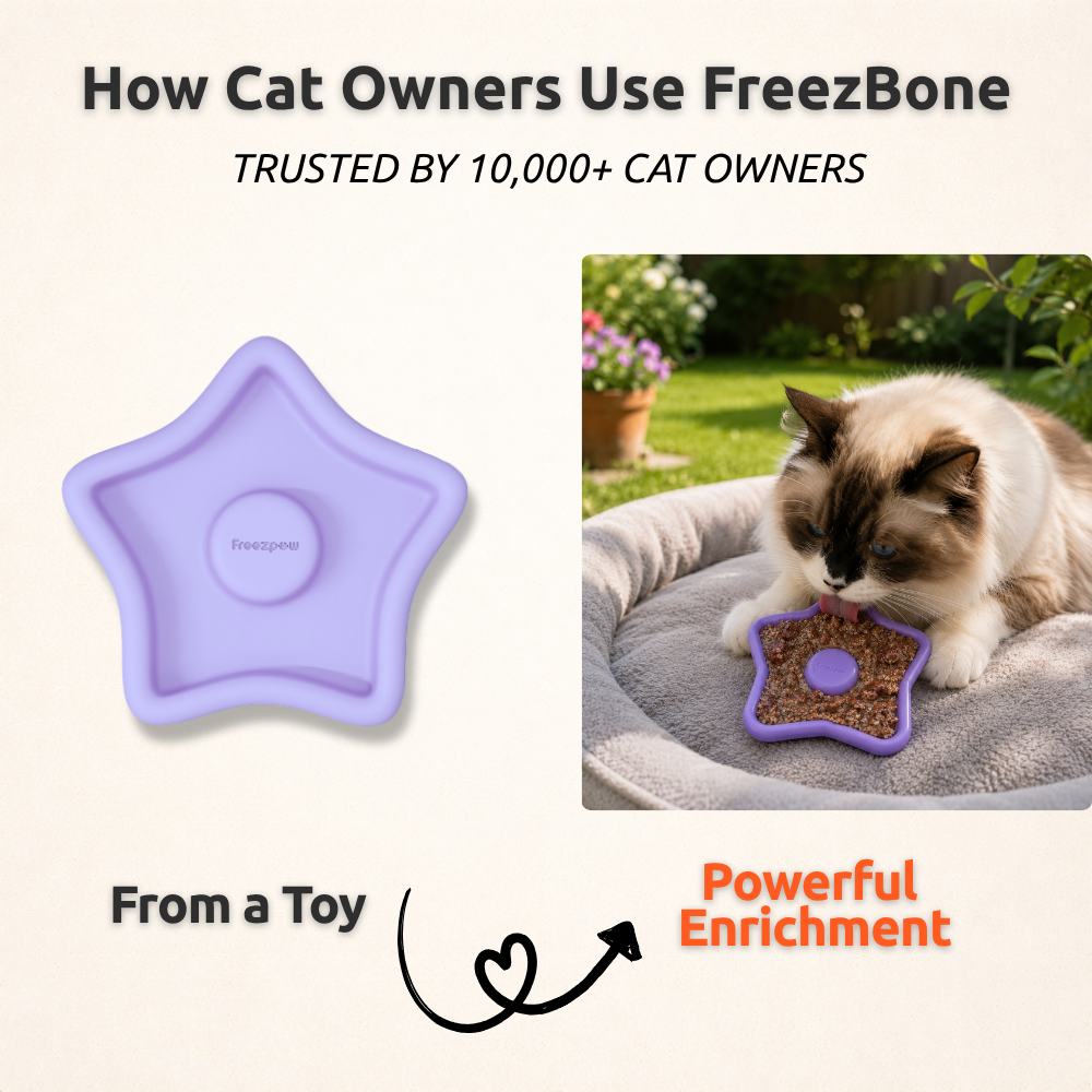 FreezTwinkle Cat Spark Play Toy