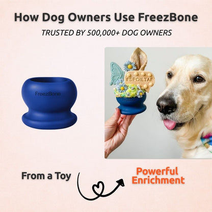 FreezBall Bundle — Best value on the most-loved bones