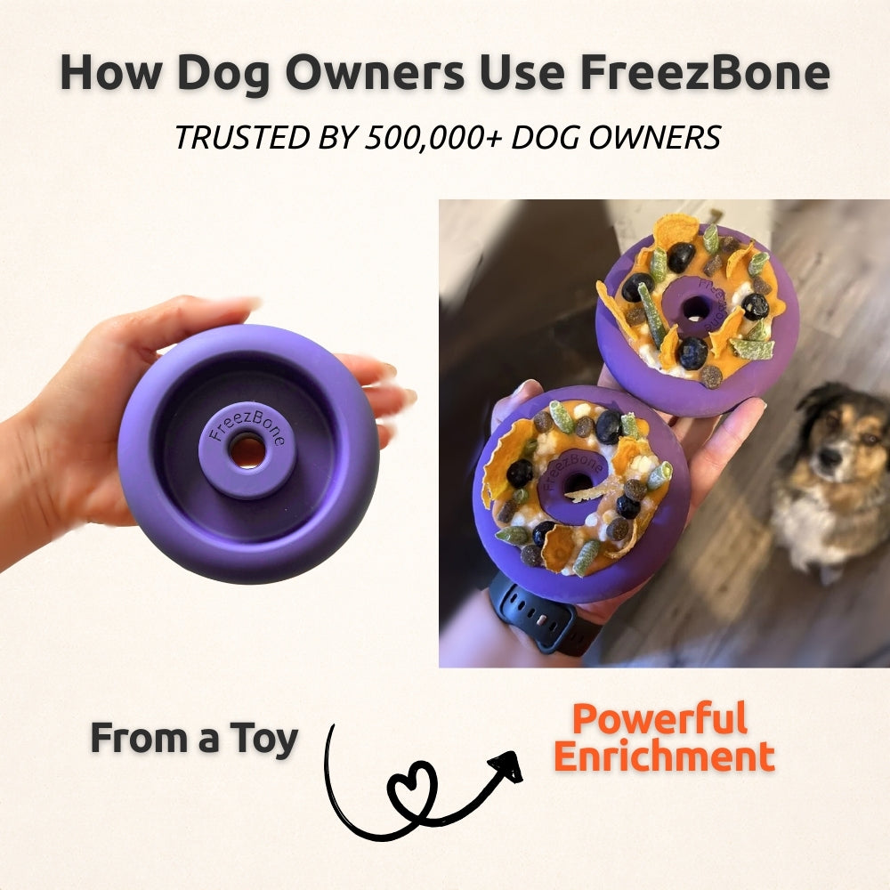 Freez Doughnut - Super Durable Treat Toy