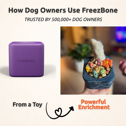 Freezbox - Super Tough Treat Toy