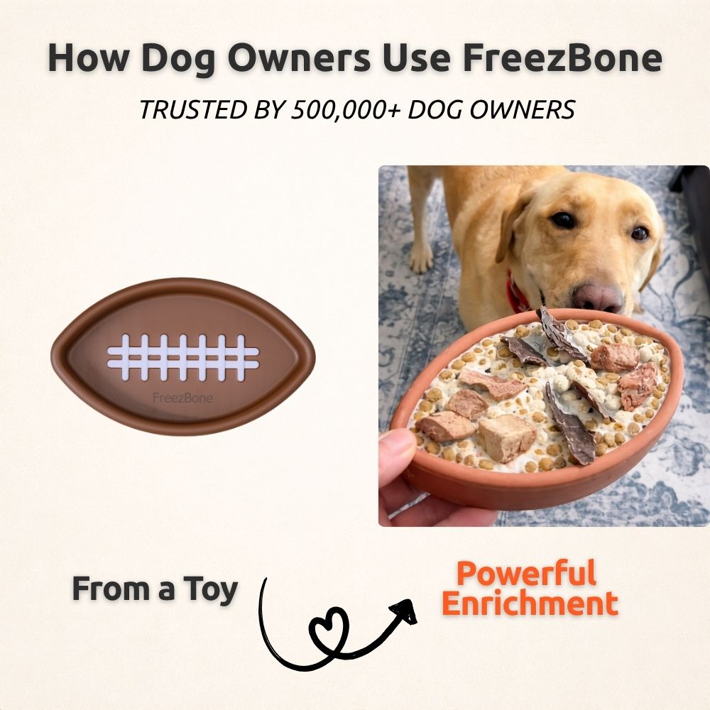 FreezFootball - Tough Enrichment Football Toy