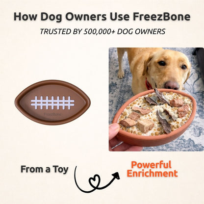 FreezFootball - Tough Enrichment Football Toy