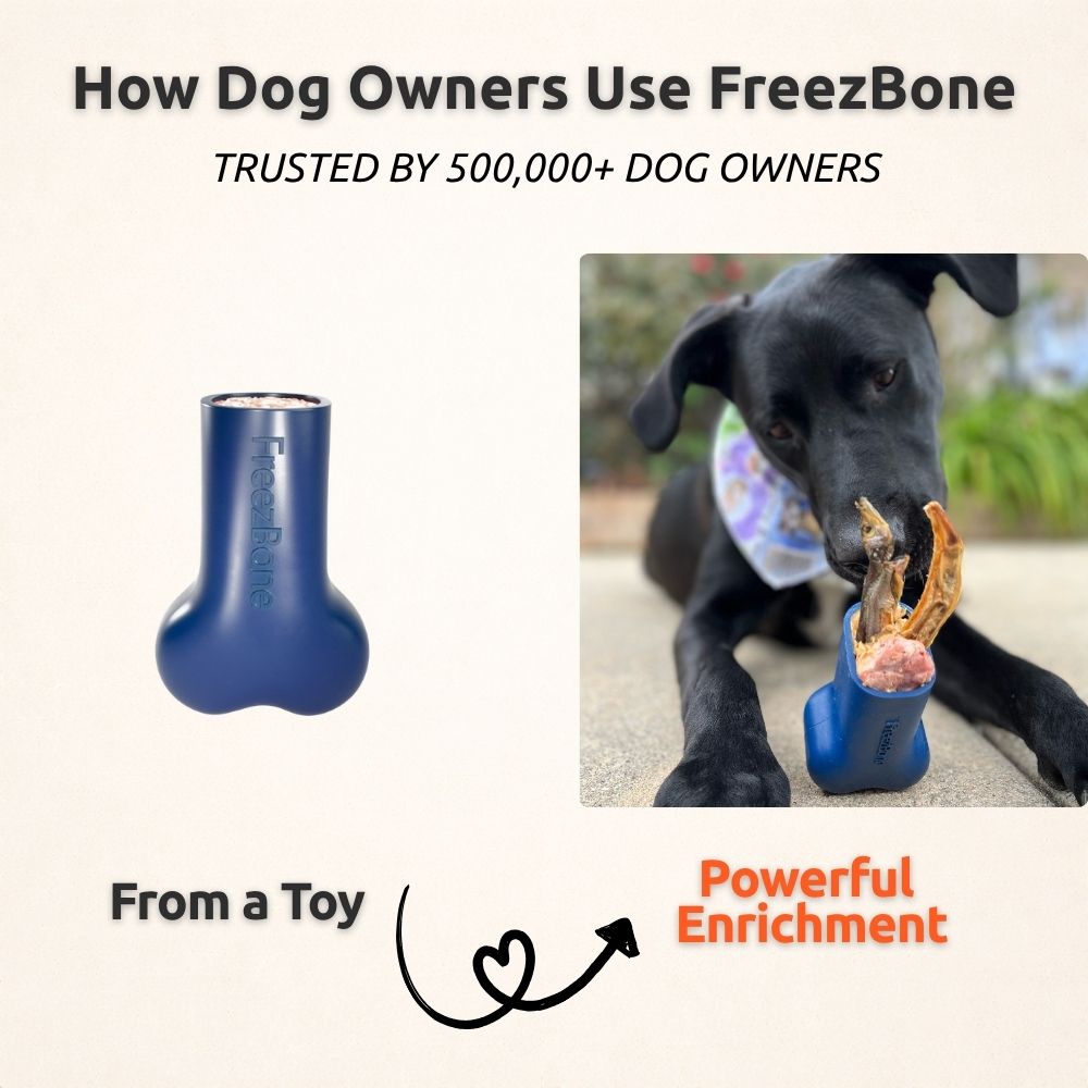 Freezbone
