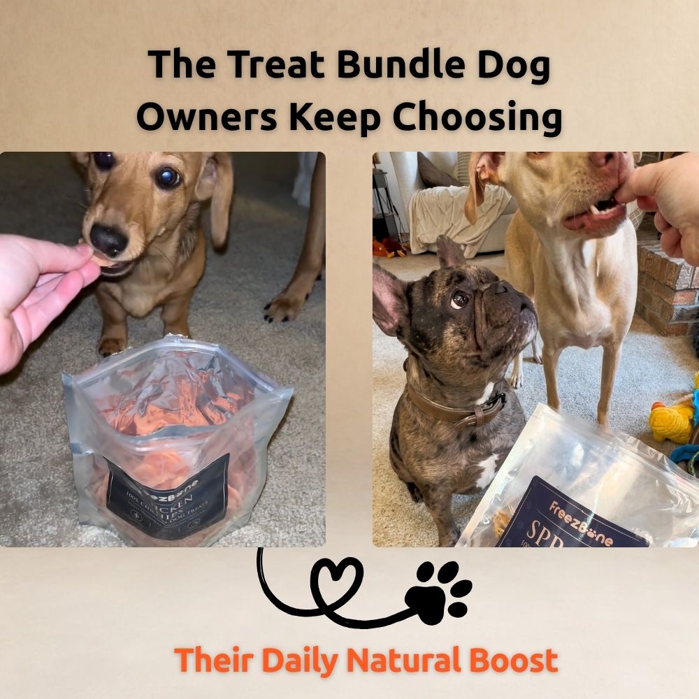 Freezbone Ultimate Dog Treat Bundle – 5 All-Natural Fish & Chicken Treats (Value Size)