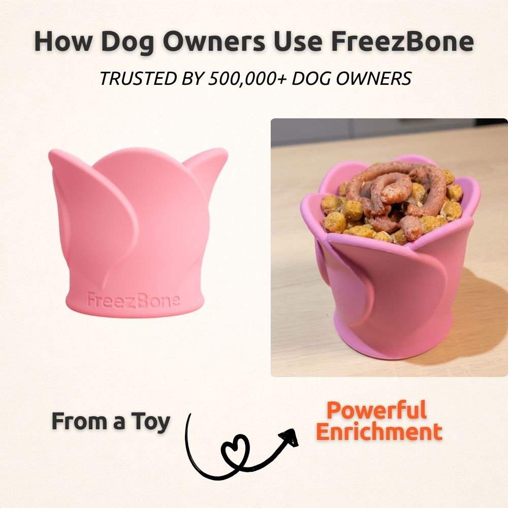 FreezRose – Frozen Dog Enrichment Toy