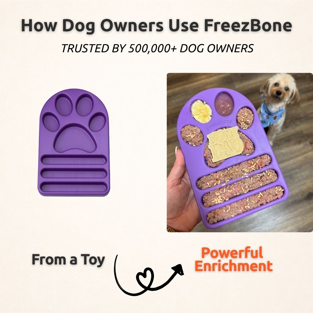 FreezPaw Mat -  Calming Slow Feeder