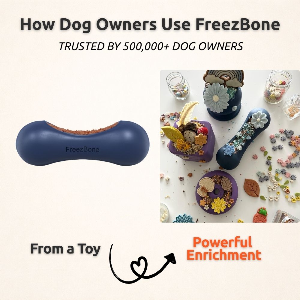 Freezstick - Indestructible Enrichment Chew