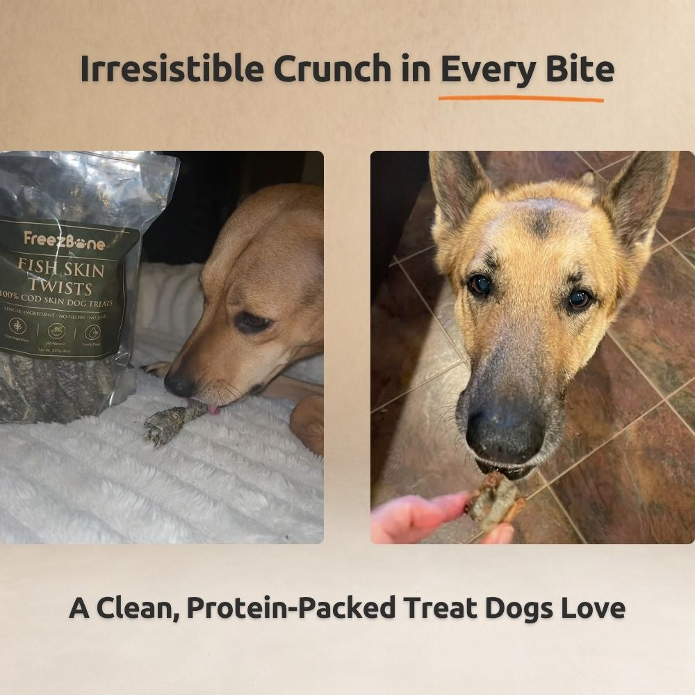 Freezbone Ultimate Dog Treat Bundle – 5 All-Natural Fish & Chicken Treats (Value Size)