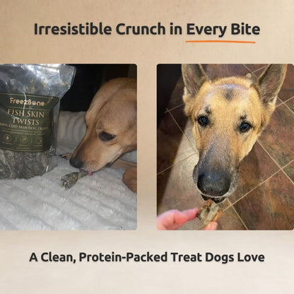 Freezbone Ultimate Dog Treat Bundle – 5 All-Natural Fish & Chicken Treats (Value Size)