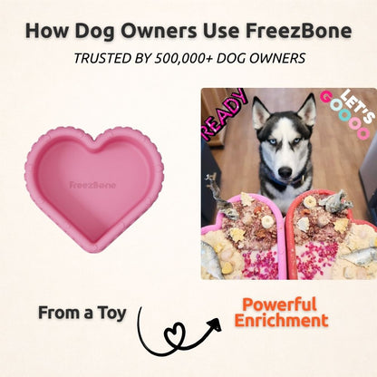FreezHeart - Durable Heart Enrichment Chew