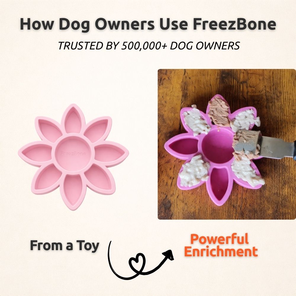 FreezFlower - Long-Lasting Frozen Flower Dog Treat Toy – Freezbone