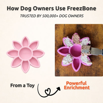 FreezFlower - Long-Lasting Frozen Flower Dog Treat Toy