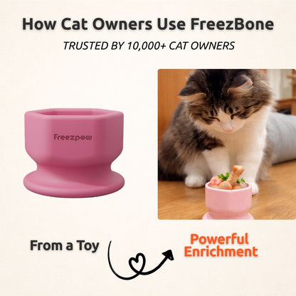FreezSip Cat Fun Toy