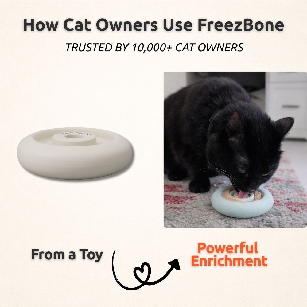 Freezring Cat Zen Relief Toy – Freezbone