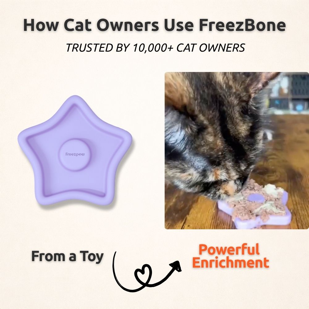 FreezTwinkle Cat Spark Play Toy