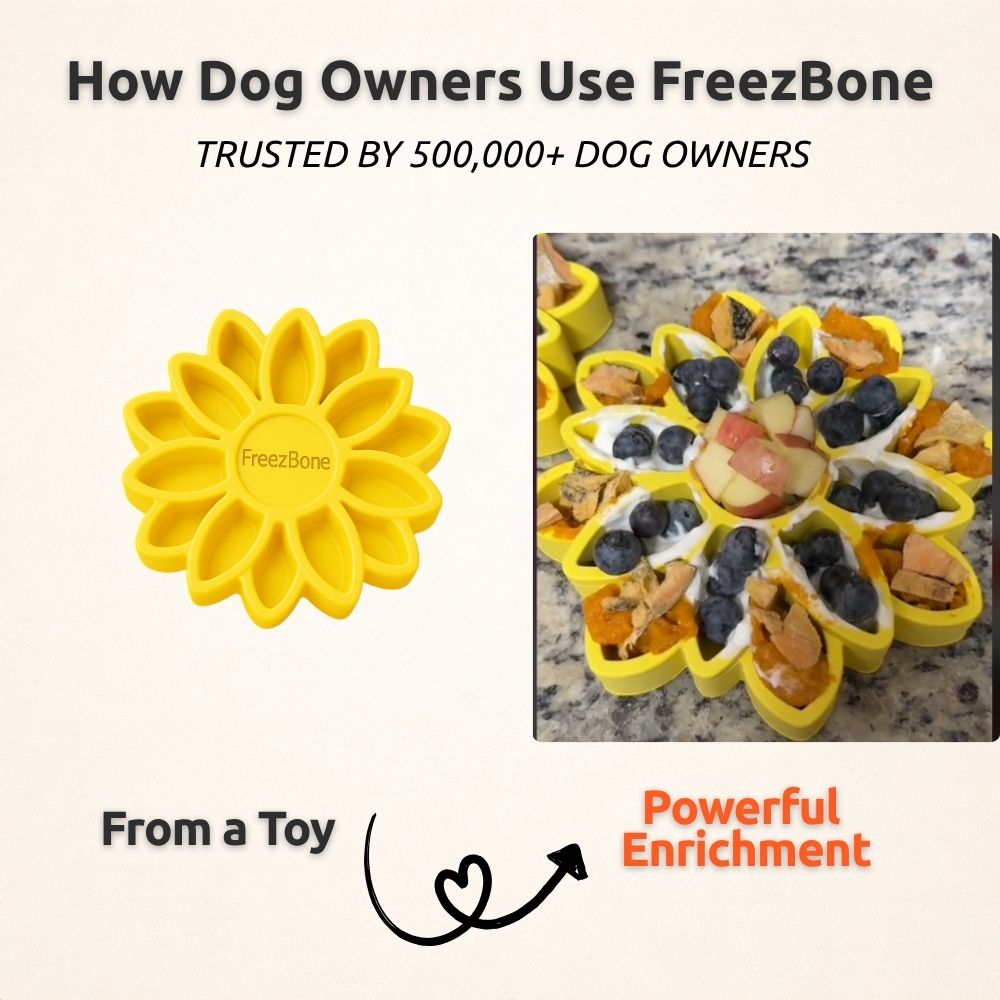 FreezSunflower - Interactive Frozen Sunflower Dog Chew For Tough Chewers