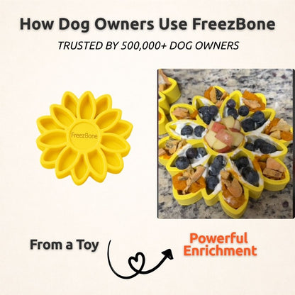 FreezSunflower - Interactive Frozen Sunflower Dog Chew For Tough Chewers