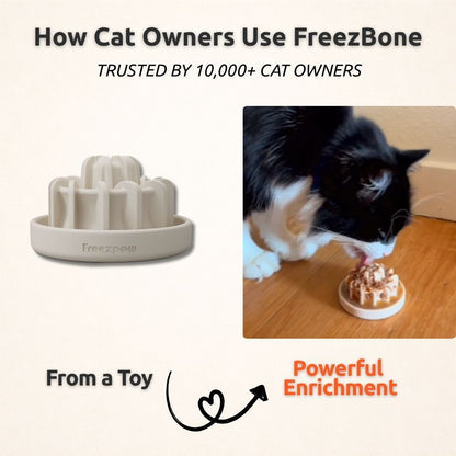 FreezDrip Cat Flow Slow Feeder