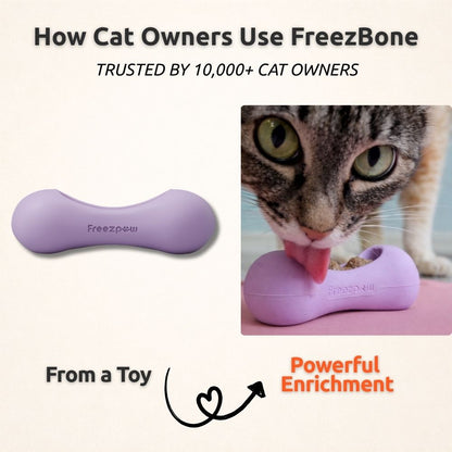 FreezWhisk Cat Calm Feed Bowl