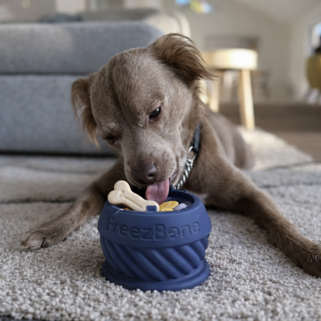 FreezJumbo™ – Our Biggest &amp; Toughest Enrichment Toy Ever