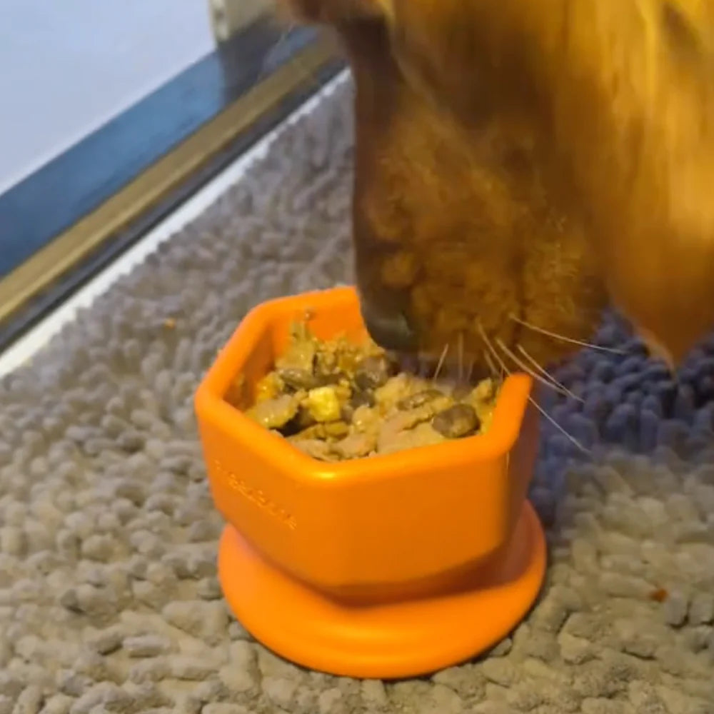 Ultimate Tough Chewer Dog Toy Set – 3 Durable Enrichment Bones