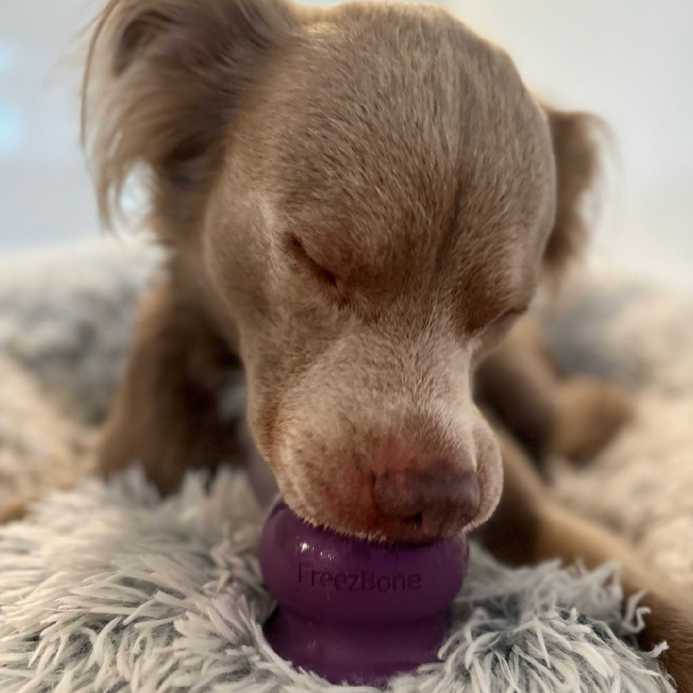 Freezball - Durable Fillable Dog Chew Bone