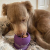 Freezball - Durable Fillable Dog Chew Bone
