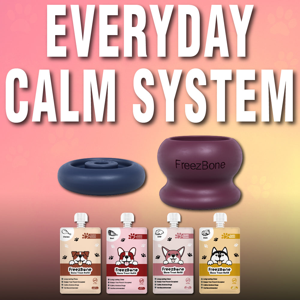 Everyday Calm System Bundle