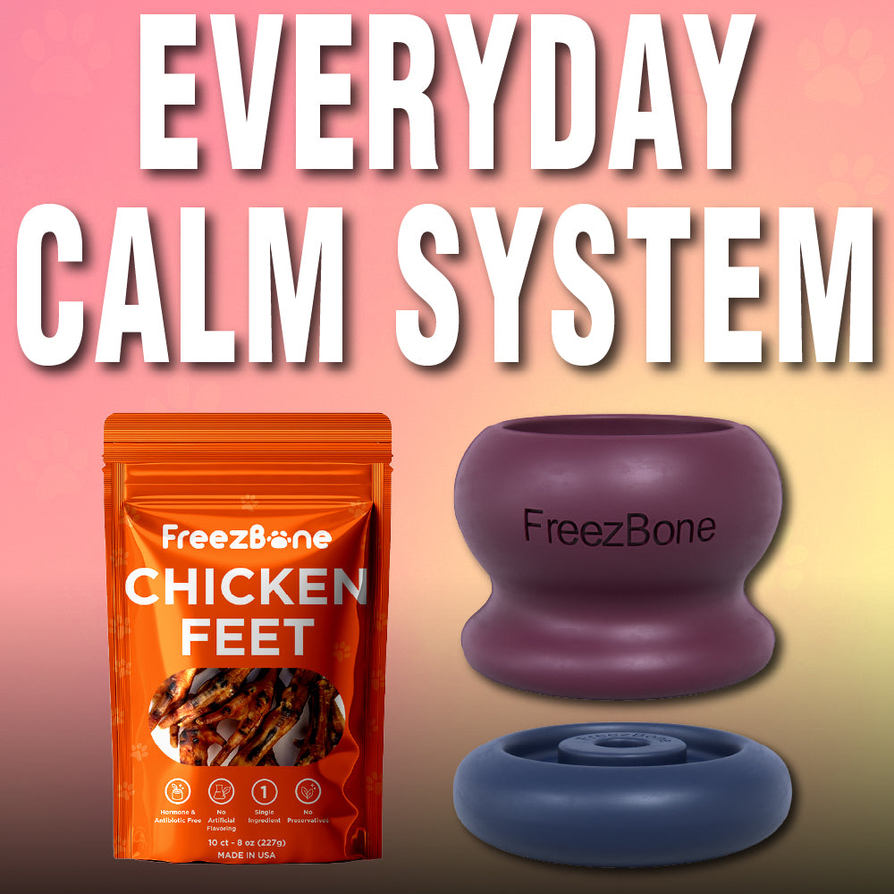 Everyday Calm System Bundle