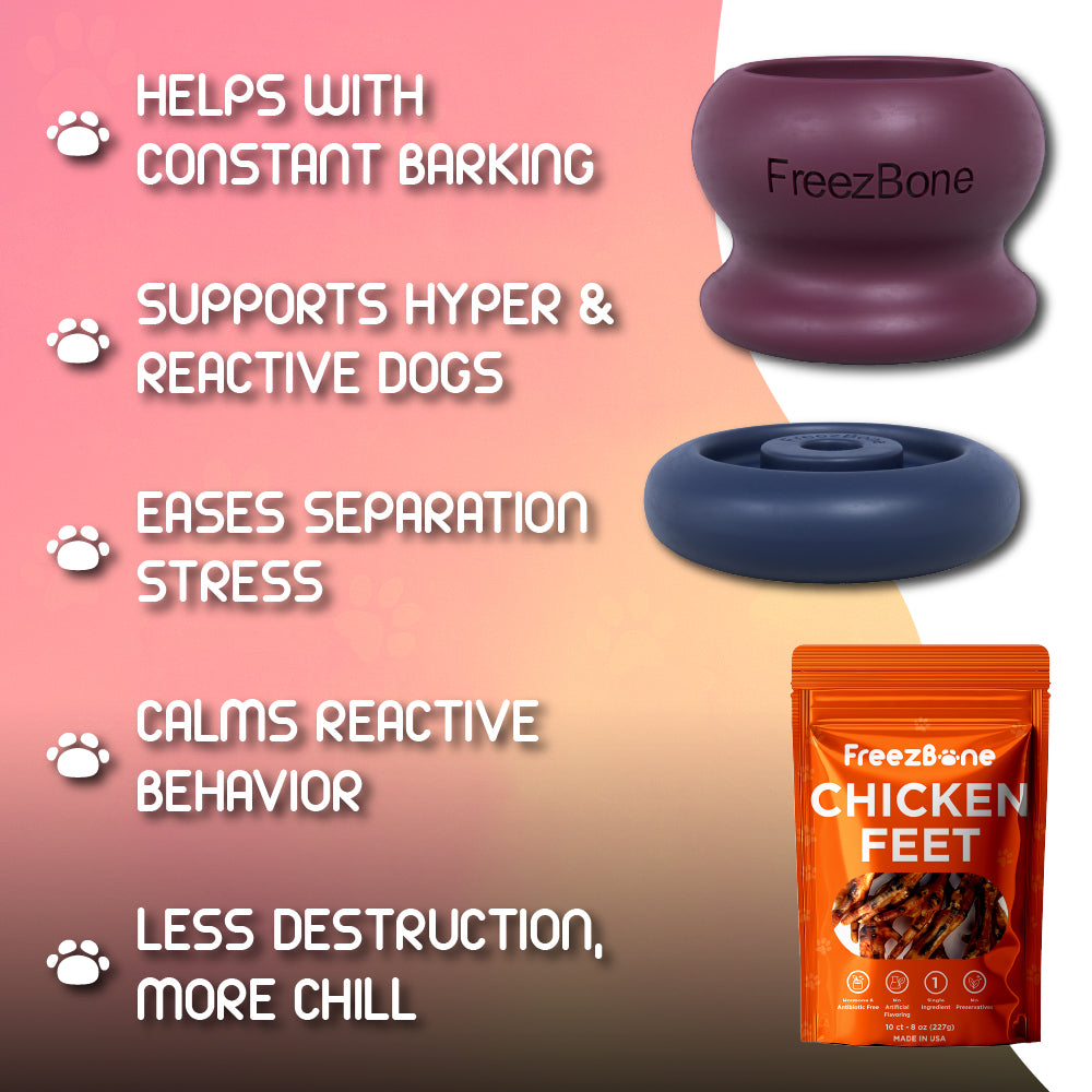 Everyday Calm System Bundle