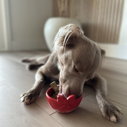 FreezBow Dog–  Dog Lickable Enrichment Toy