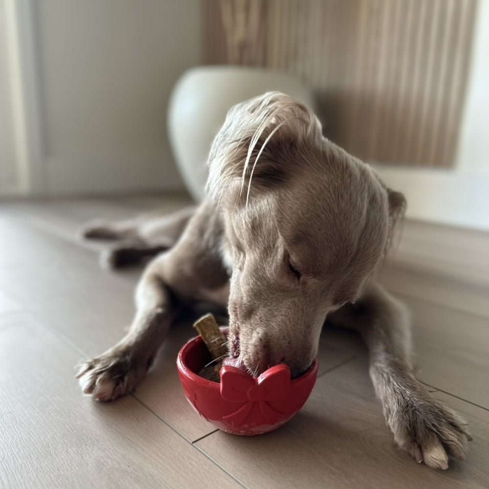 FreezBow Dog– Holiday Lickable Enrichment Toy