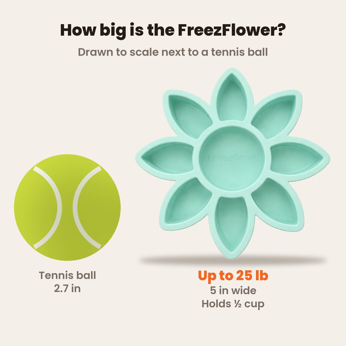 FreezFlower size drawn to scale next to a tennis ball: 5 in wide, holds 1/2 cup, for dogs up to 25 lb