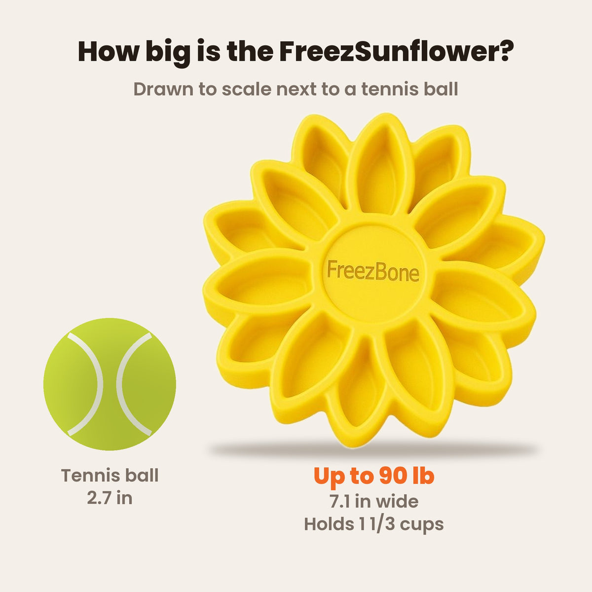 FreezSunflower size drawn to scale next to a tennis ball: 7.1 in wide, holds 1 1/3 cups, for dogs up to 90 lb