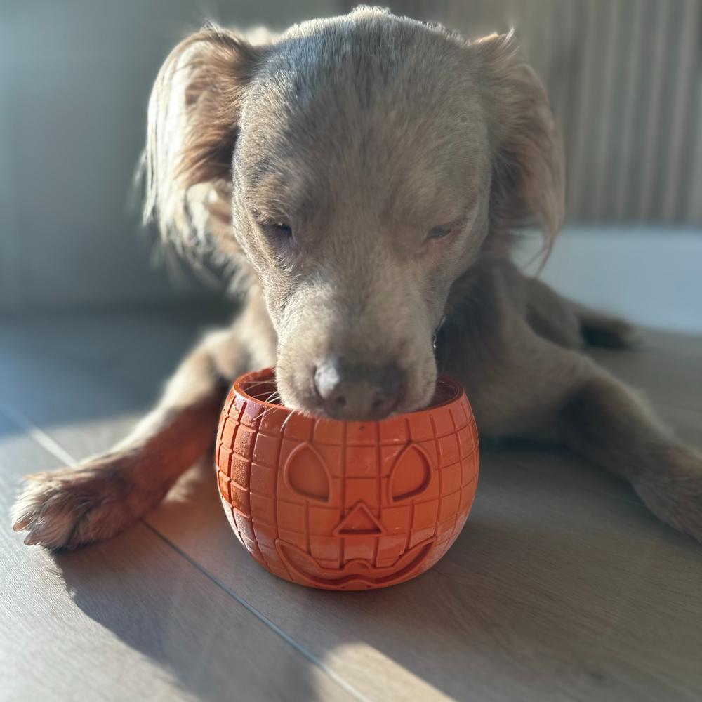 FreezPumpkin Bundle 90 Grams Fillers