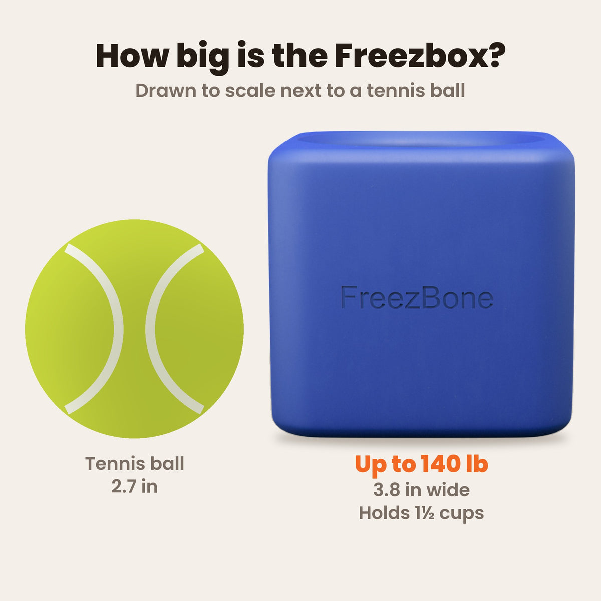 Freezbox size guide drawn to scale next to a tennis ball: 3.8 in wide, holds 1 1/2 cups, for dogs up to 140 lb