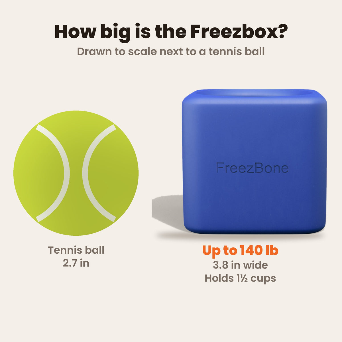 Freezbox size guide drawn to scale next to a tennis ball: 3.8 in wide, holds 1 1/2 cups, for dogs up to 140 lb