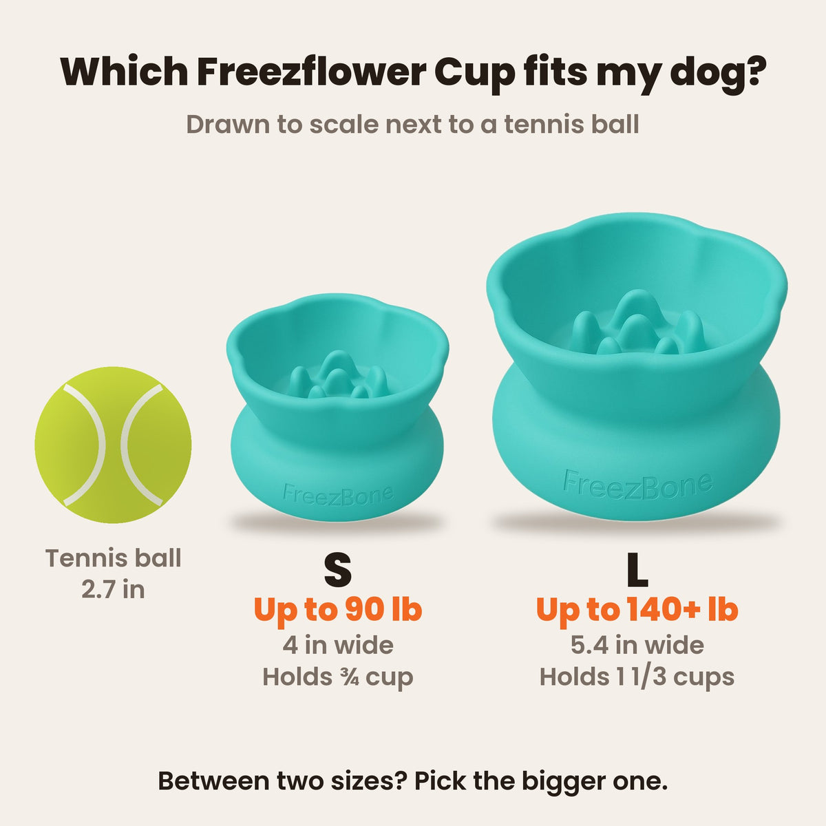 Freezflower Cup sizes drawn to scale next to a tennis ball. S is 4 in wide, holds 3/4 cup, for dogs up to 90 lb. L is 5.4 in wide, holds 1 1/3 cups, for dogs up to 140+ lb