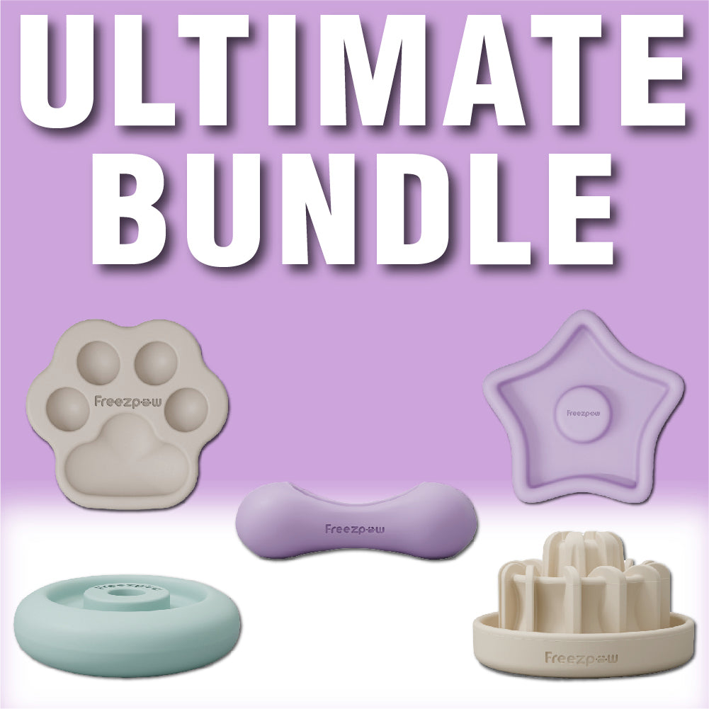 FreezPaw Ultimate Pack – Cat Enrichment Bundle of 5 Products