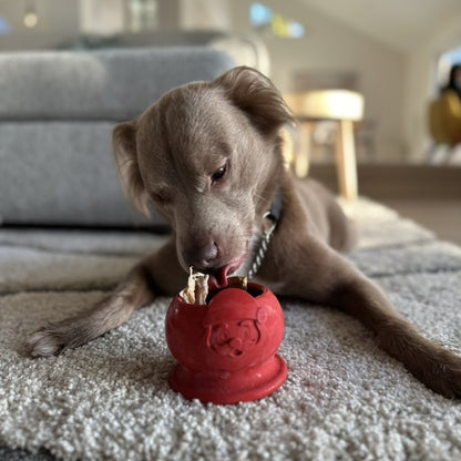 FreezSanta Dog– Holiday Frozen Santa Chew Toy