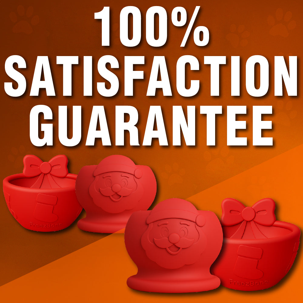 Paws &amp; Claws: Cat Bundle