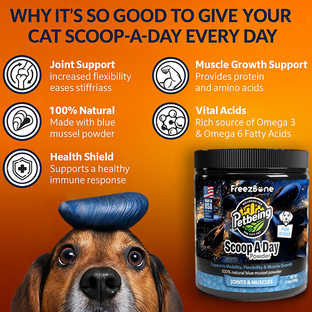 Freezbone Scoop-A-Day Joint &amp; Mobility Powder