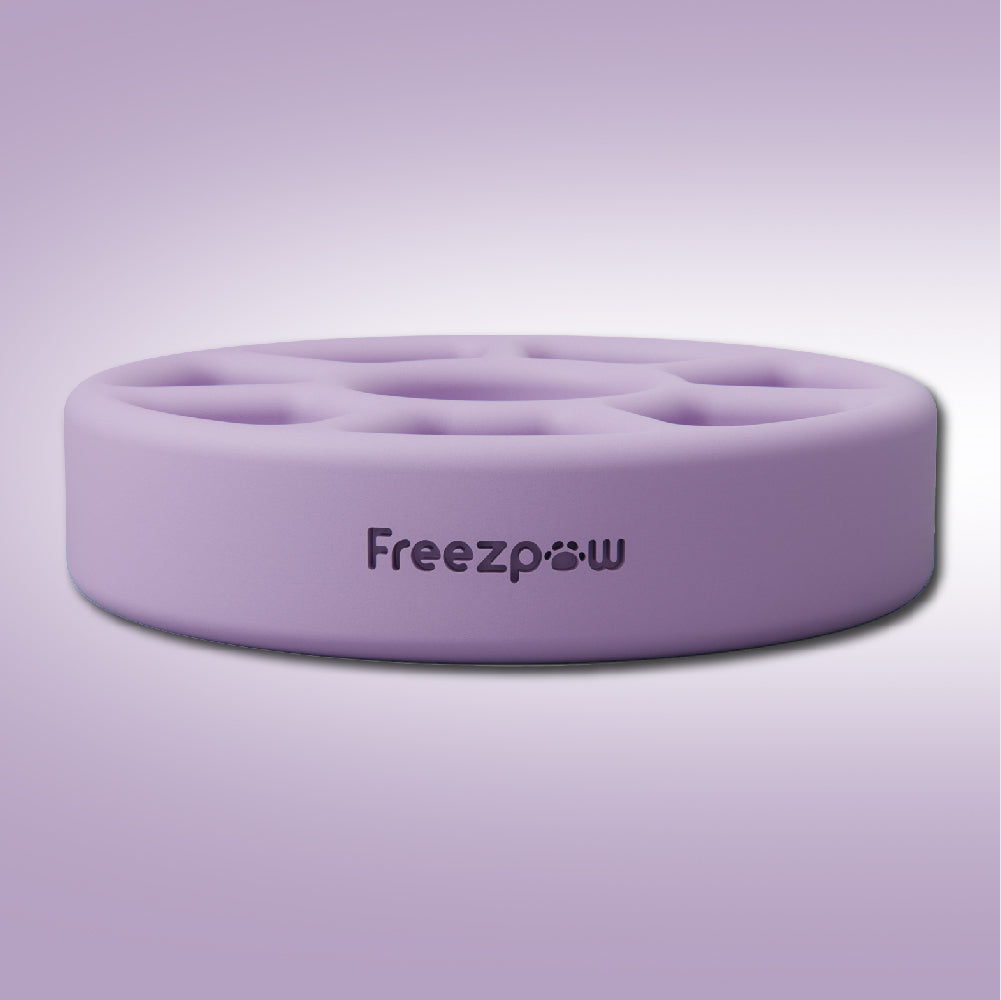 FreezSpin Cat Durable Interactive
