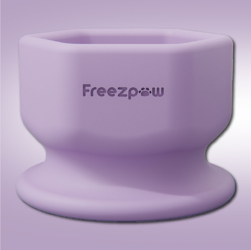 FreezSip Cat Fun Toy
