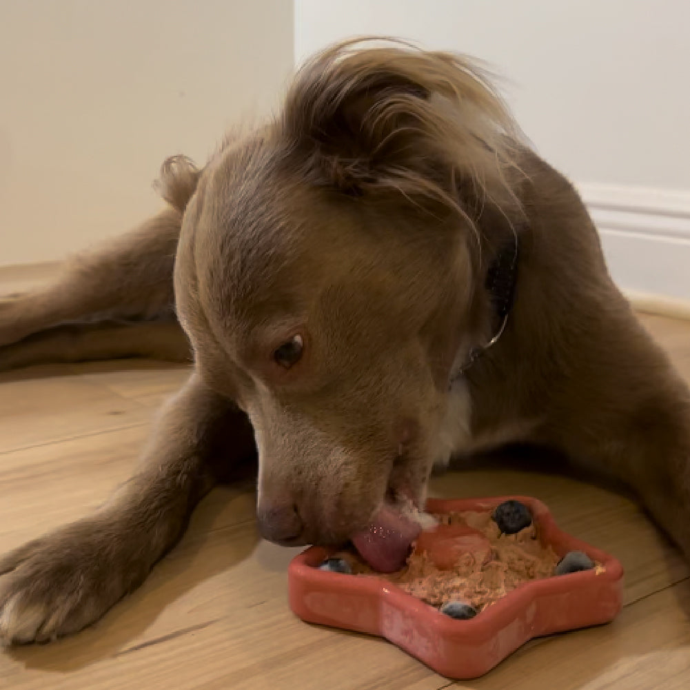 FreezStar Bundle 90 Grams Fillers