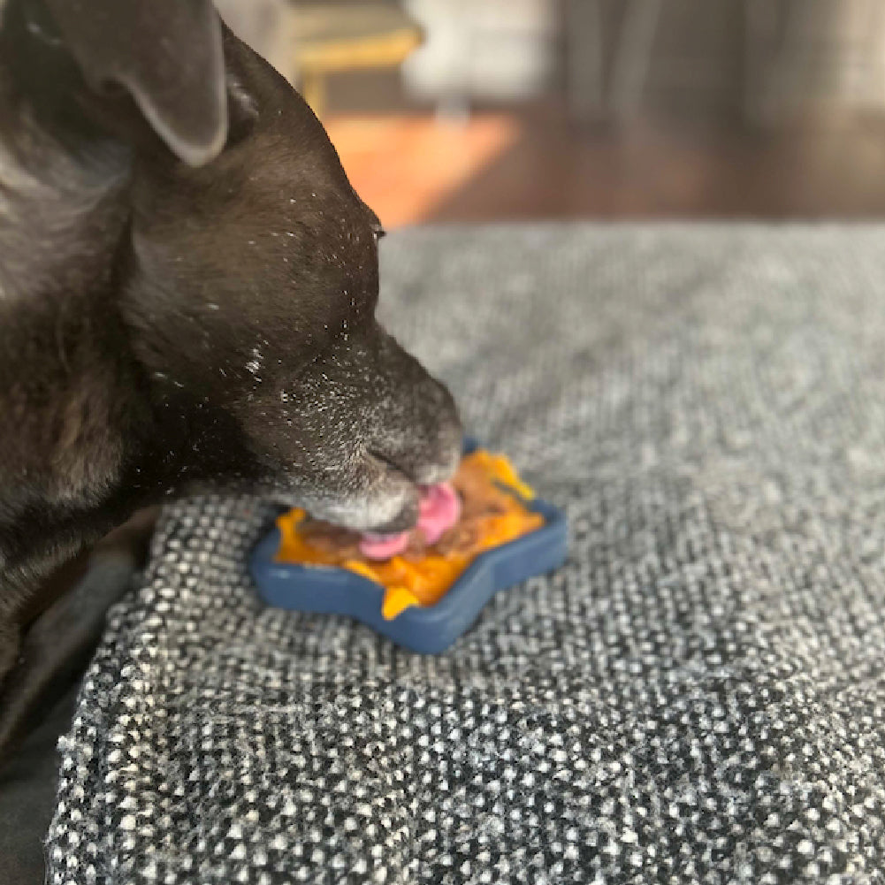 FreezStar Bundle 90 Grams Fillers