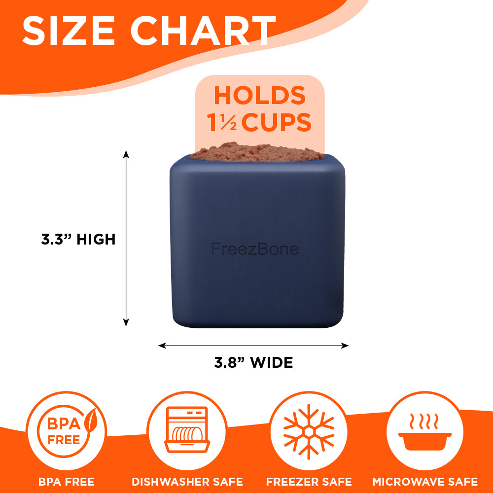 Freezbox - Super Tough Treat Toy