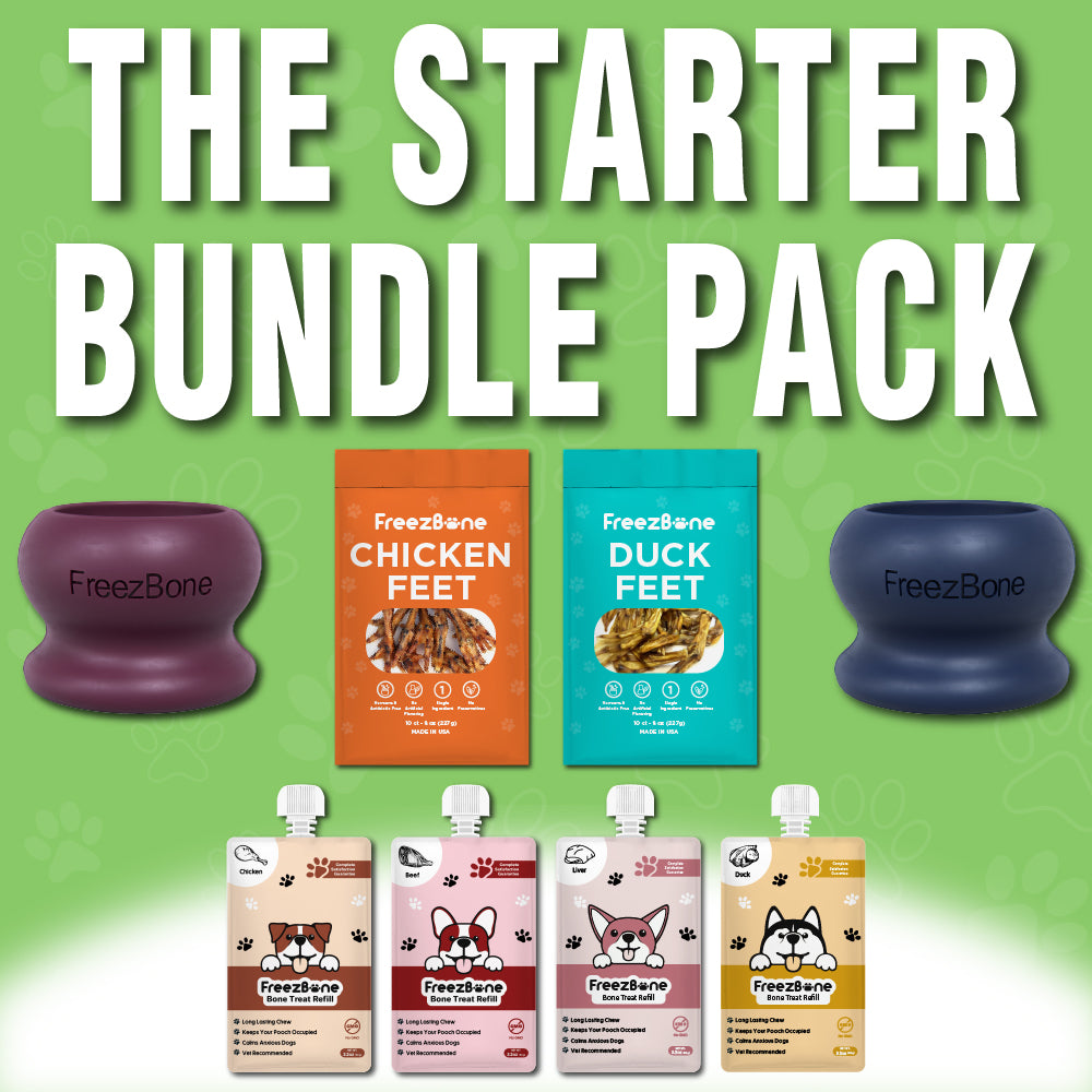 The Starter Bundle Pack